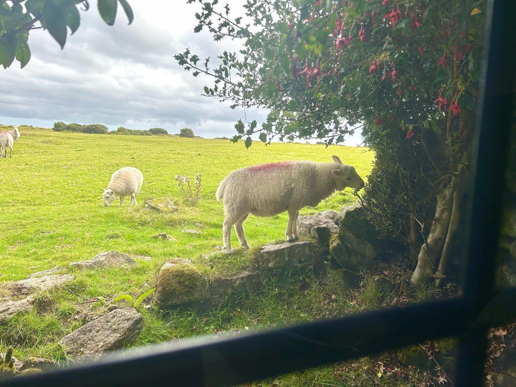 Hallagenna Cottages Bodmin Bagian luar foto