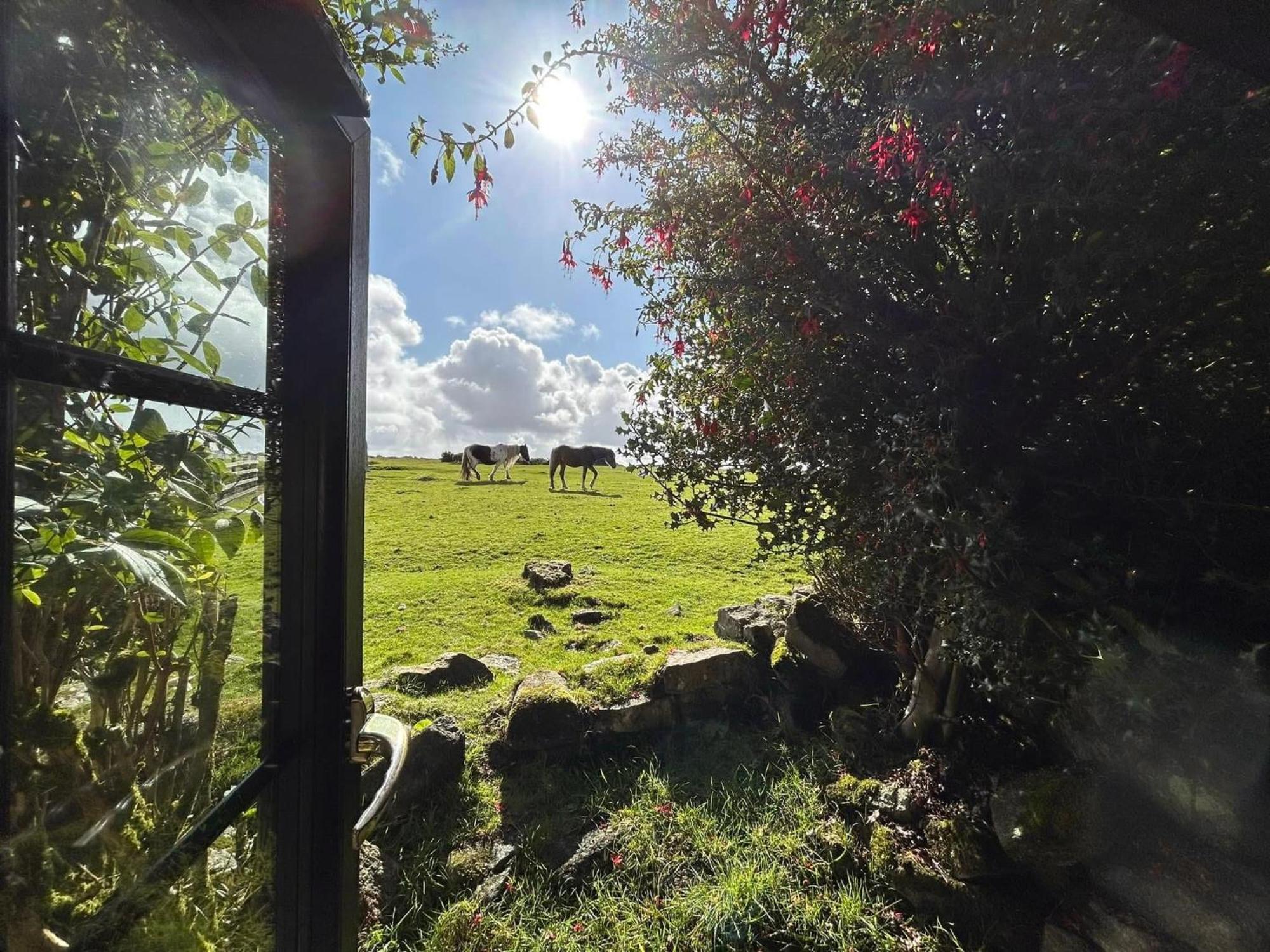 Hallagenna Cottages Bodmin Bagian luar foto